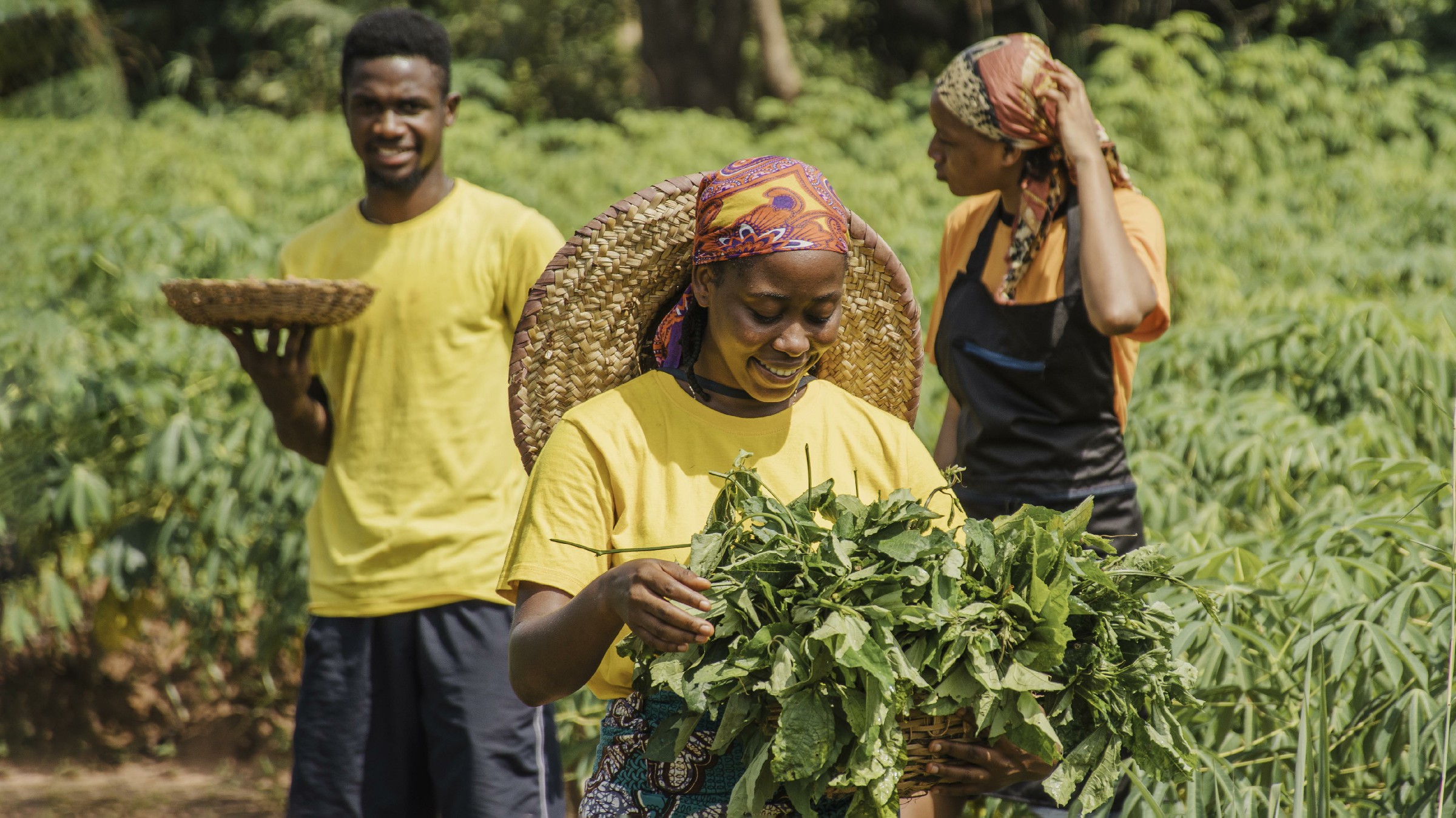 Building Resilient Communities: Climate Change Adaptation Strategies in Action